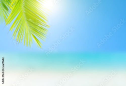 Blurred of palm trees or coconut trees leaf against the blue sky.