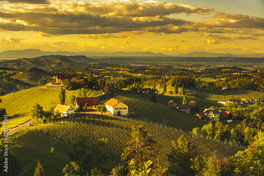Naklejka premium Sunset over South Styria vineyard landscape in Steiermark, Austria.