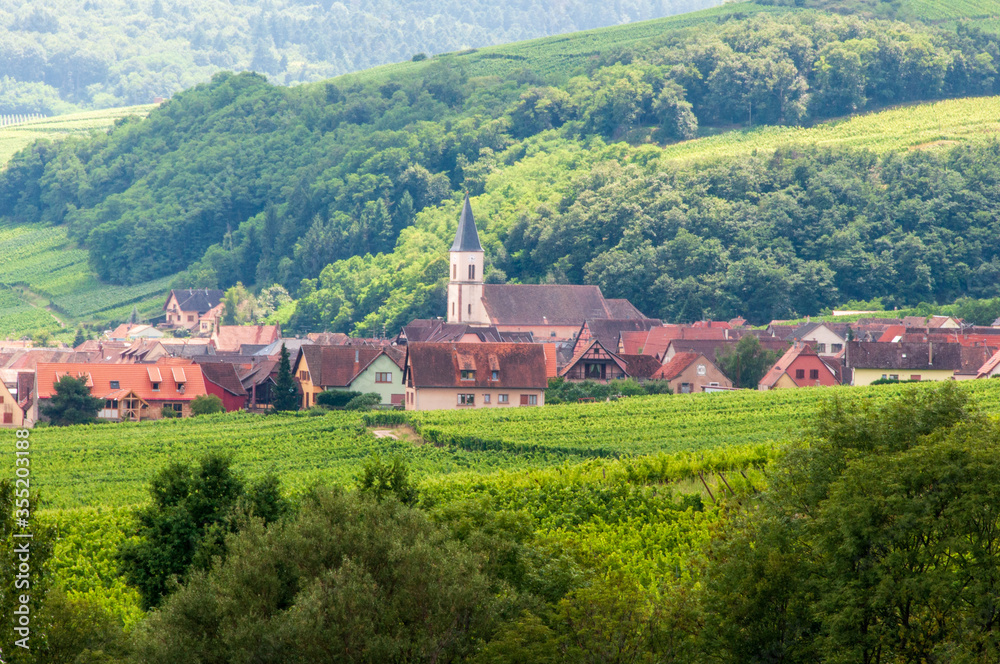 Alsatian village surrounded by vineyards in France