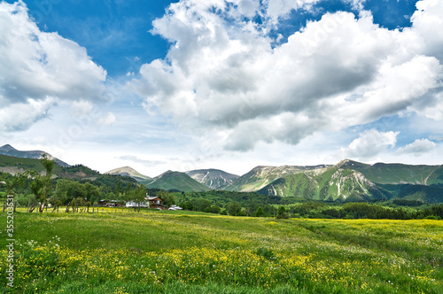 Yellow flowers, trees and white clouds. Meadow landscape panorama was taken in Savsat, Artvin, Black Sea / Karadeniz region of Turkey