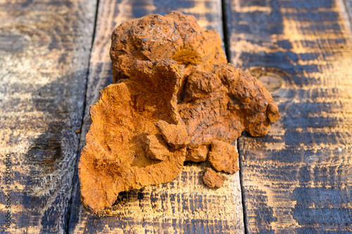 peeled wild birch chaga mushroom for brewing natural fungus tea on a wooden surface photo