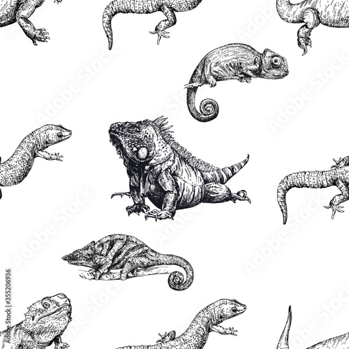 Seamless pattern of hand drawn sketch style reptiles isolated on white background. Vector illustration.