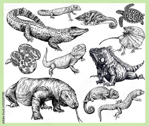 Big set of hand drawn sketch style reptiles isolated on white background. Vector illustration.