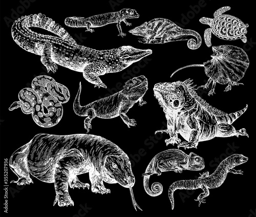 Big set of hand drawn sketch style reptiles isolated on black background. Vector illustration.