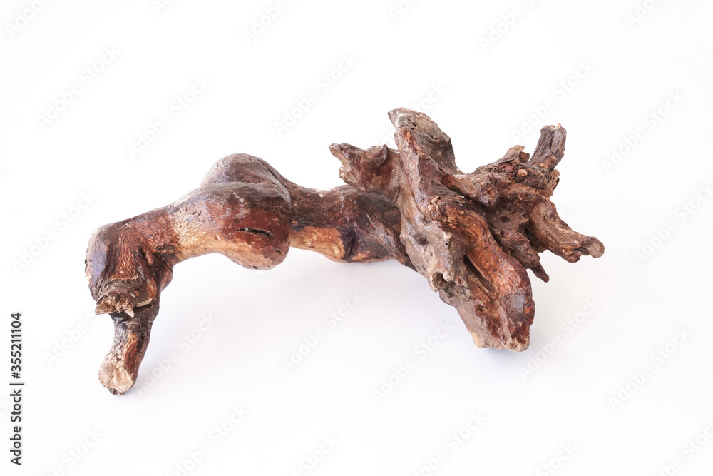 Snag, tree root on an isolated white background.
