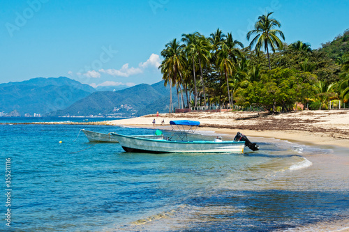 Tableau sur toile Secluded beach near Puerto Vallarta