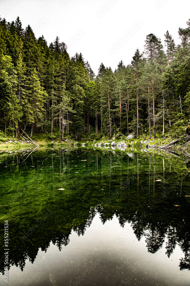 Fototapeta premium Grüner See im Wald