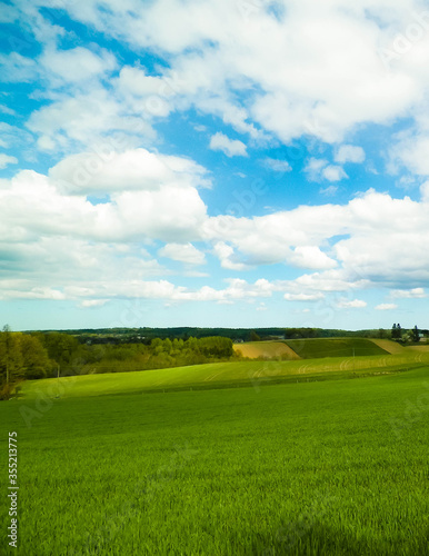 Landscape of beautiful, kashubian meadow, nature of northern Poland.