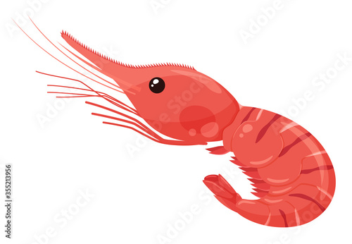 牡丹海老のイラスト
