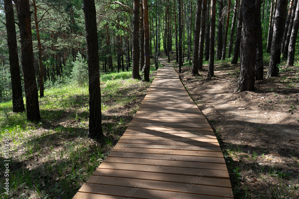 Obraz premium Forest path lined with wooden blocks.