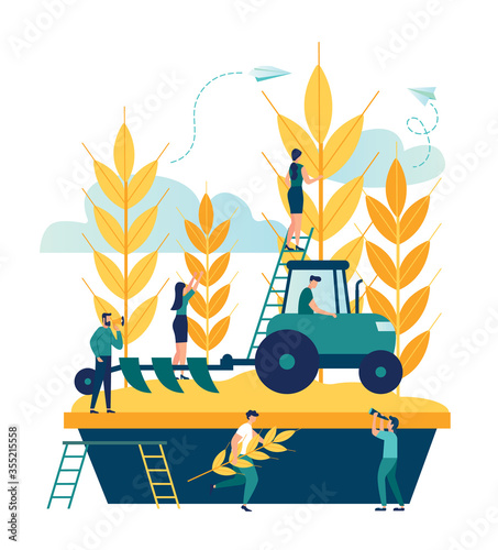 Vector illustration, a process of harvesting crops on a tractor, ears with whole grains and leaves, yellow wheat, rye or barley