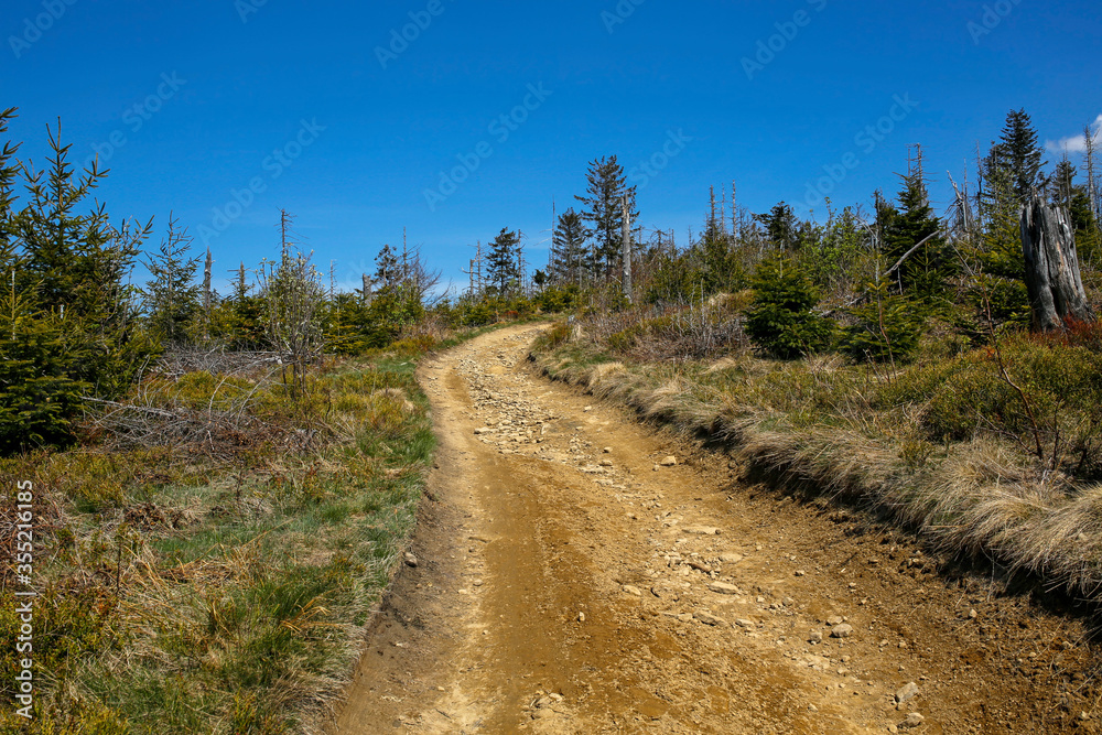 path in Island Beskids mountains in southern Poland
