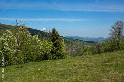 Fototapeta Naklejka Na Ścianę i Meble -  spring landscape of Island Beskids mountains in southern Poland