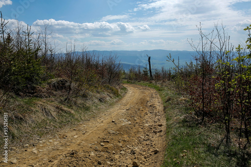 Fototapeta Naklejka Na Ścianę i Meble -  path in Island Beskids mountains in southern Poland