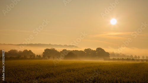 Foggy and colorful landscape with sunrise