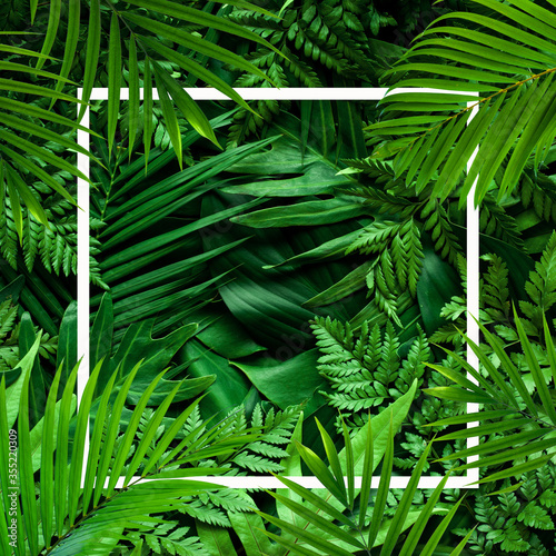 tropical green leaves and palms with white note frame, nature flat lay concept