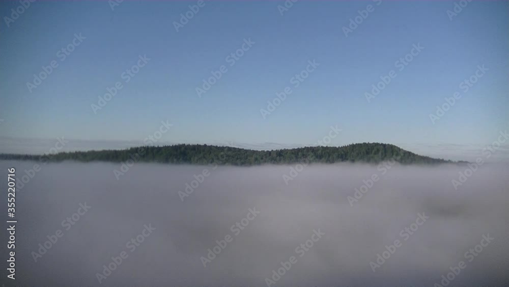 thick fog covered with thick coniferous forest thick fog covered with thick coniferous forest