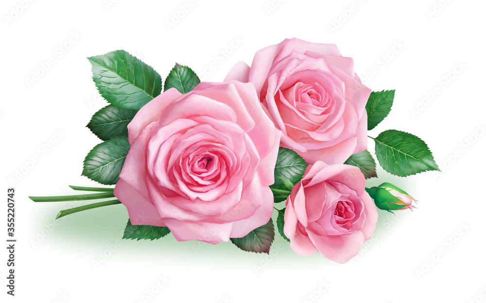 Pink roses Pink roses