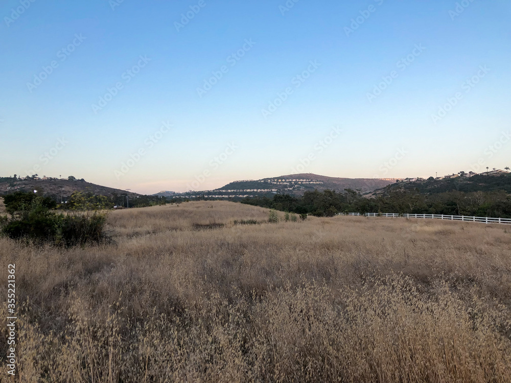 Dry grass and wheat field meadow during sunset in the valley. Scenic view of field against sky 