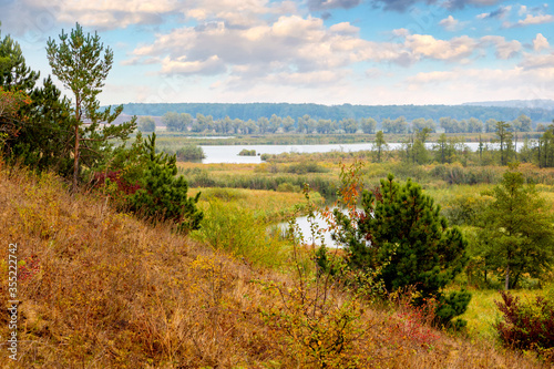 Pines and spruces on a hillside, river and forest in the distance