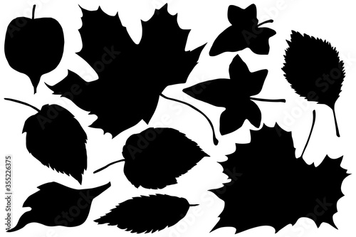 Autumn leaves silhouettes. Basis clip art set on white background