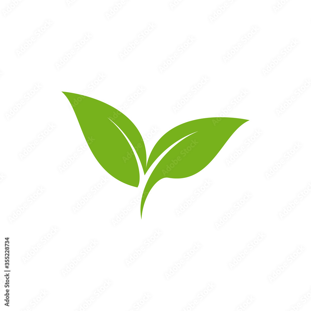 Fototapeta Leaf logo vector design template.