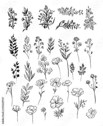 Set of floral and plant elements. Vector sketch. Linear floral elements for design.