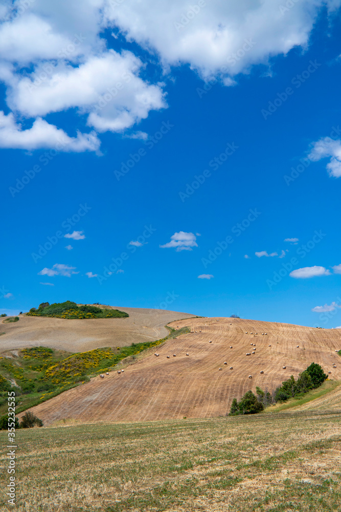 Classico panorama delle colline Toscane 