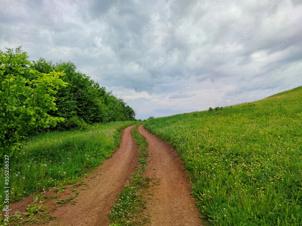 country road near a hill and trees among green grass against the sky with clouds before the rain
