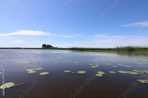 
Beautiful view over a small lake full of water lilies and a reed, Photo is taken on a sunny day with a blue sky and some small white clouds.