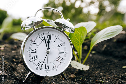 Clock and seedling, the concept of planting plants in spring. Work in the spring garden