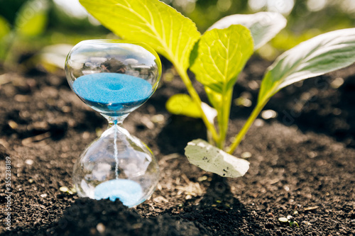 Clock and seedling, the concept of planting plants in spring. Work in the spring garden