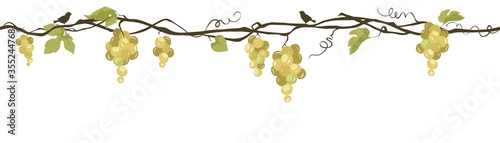 Grapevine with birds / Seamless vector illustration, narrow background, floral design element for white wine