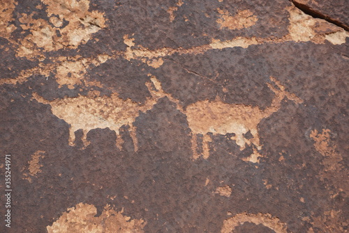 Ancient Petroglyphs of deer in Indian Creek, Utah.
