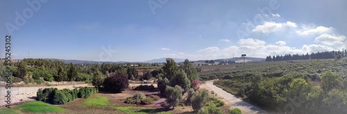 israel wine vinyard