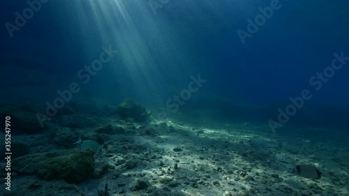 Wallpaper Mural sun ray and sun beam scenery underwater waves on surface of water slow ocean scenery Torontodigital.ca