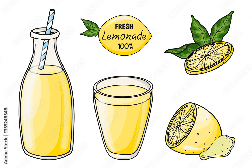 Hand drawn vector lemonade with lemon slice with leaf isolated on white background. Graphic elements for package, poster, card, menu, cafe, restaurant, print, banner, advertising or poster. Hand drawn vector lemonade with lemon slice with leaf isolated on white background. Graphic elements for package, poster, card, menu, cafe, restaurant, print, banner, advertising or poster.