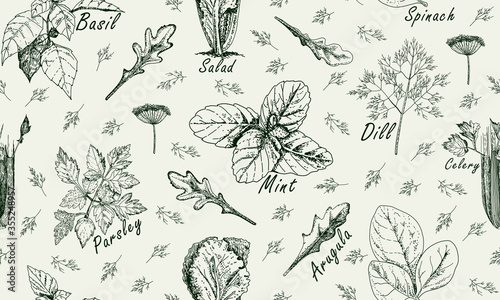Vintage seamless pattern with popular herbs in cooking.