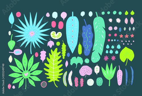 Tropical plants and palms leaves nuts and seeds isolated on background. Stylised cartoon hand drawn decorative vector elements for design. 