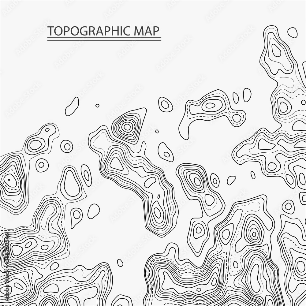 Topographic contour map on white background. Vector grid map. Topographic contour map on white background. Vector grid map.