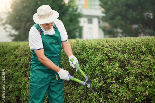 Man in hat cutting overgrown bushes.