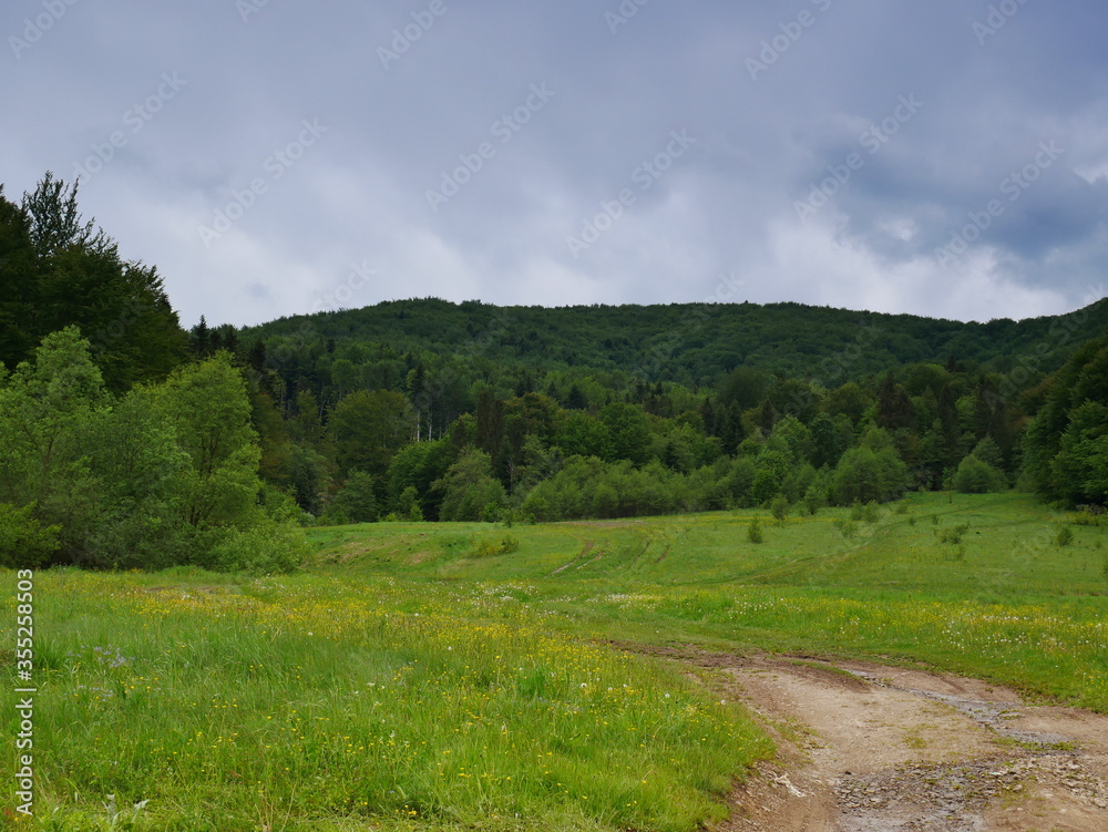 Naklejka premium landscape in the mountains