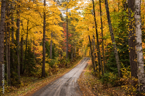 Fototapeta Naklejka Na Ścianę i Meble -  Country Road in an Autumn Forest