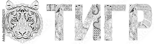 Fototapeta Naklejka Na Ścianę i Meble -  Word tiger in Russian. Vector zentangle object for decoration, for coloring
