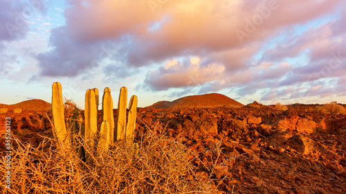 Desert area in the south of Tenerife at sunset