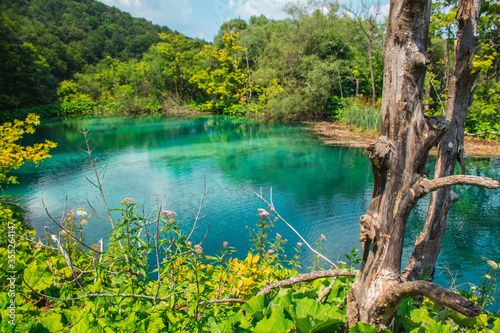 Fototapeta Naklejka Na Ścianę i Meble -  Picturesque landscape at Plitvice Lakes National Park in Croatia.