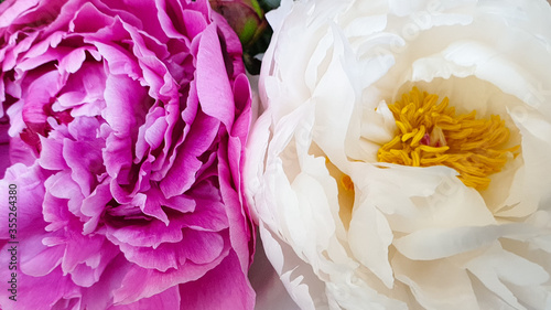 Obraz na płótnie piękny bukiet kwiat ładny różowy