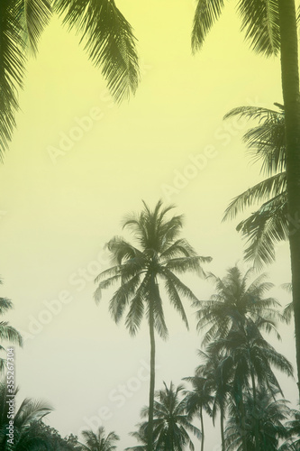 coconut trees on the beach with filter colored. © elenakay