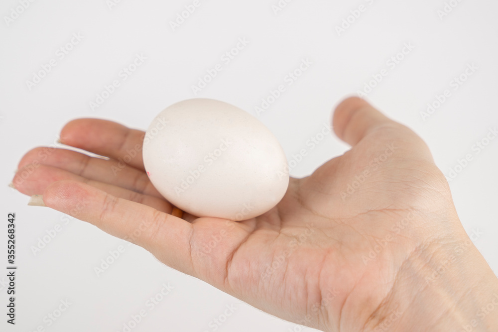 White and gray chicken eggs in a hand on a white background White and gray chicken eggs in a hand on a white background