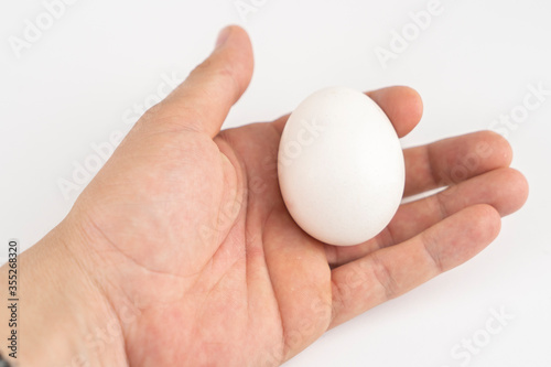 White and gray chicken eggs in a hand on a white background